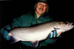 brown trout 1.jpg